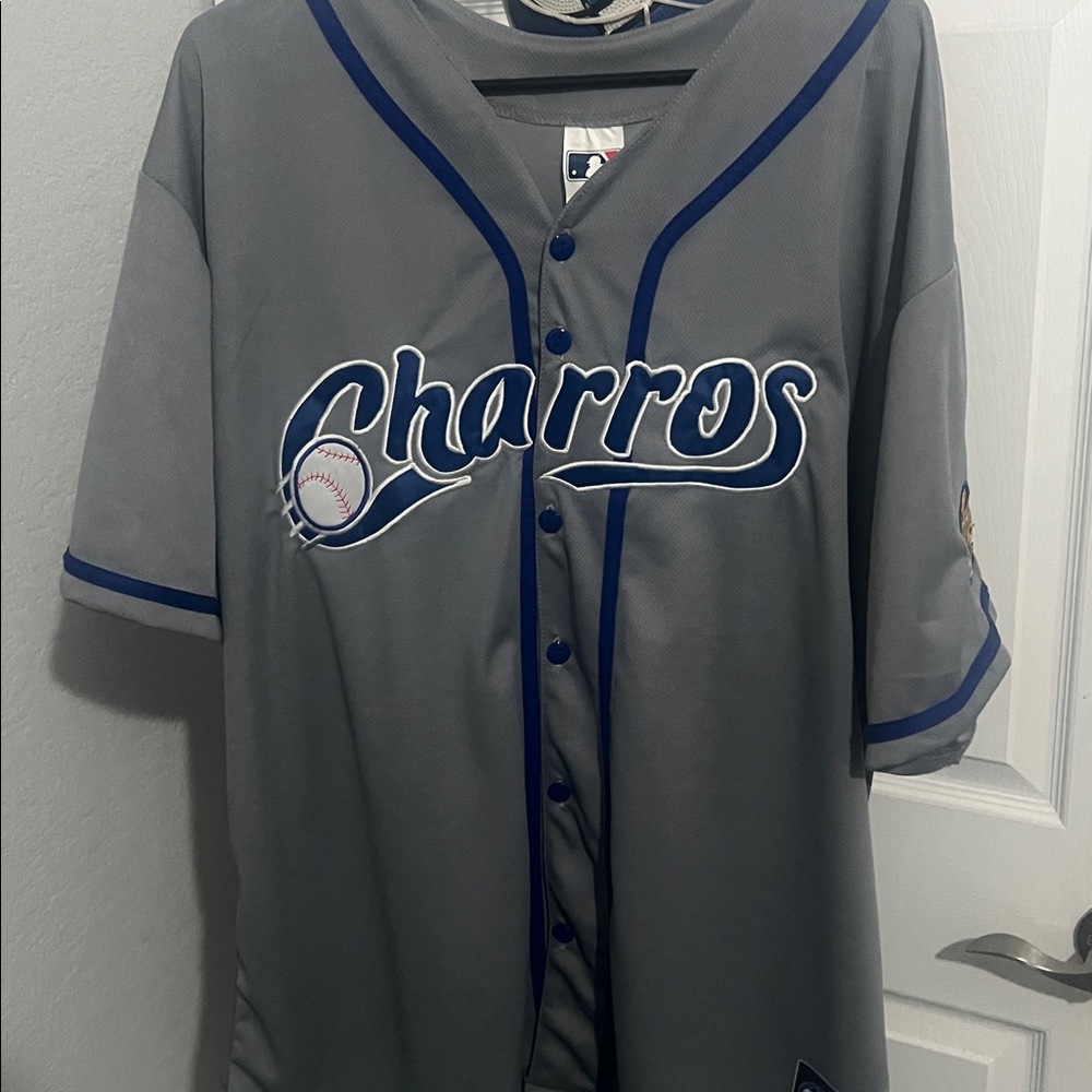 Gray Charros Baseball Jersey